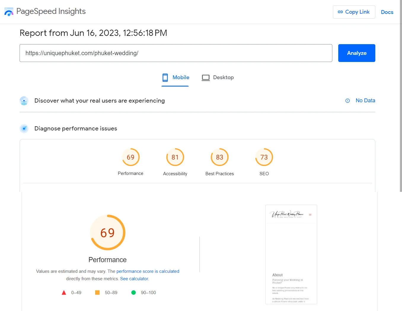 PageSpeed Insights report showing a performance score, accessibility score, best practices score and SEO score.